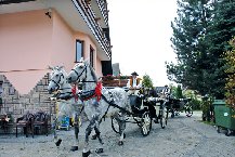 Pokoje Gościnne Stachoń